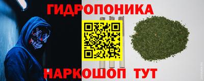 гашик Владикавказ