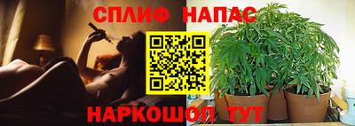 гашик Владикавказ
