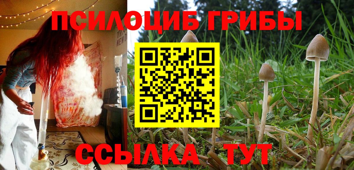 Галлюциногенные грибы ЛСД Кизляр