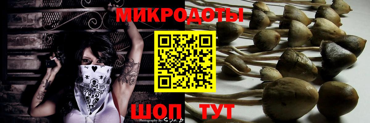 купить наркоту  Вход с VPN  Кизляр  Галлюциногенные грибы ЛСД 
