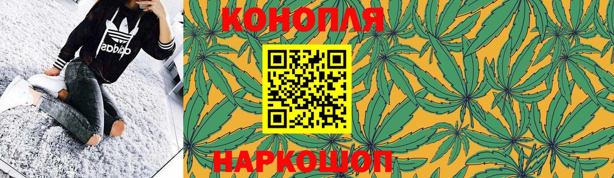 Канабис OG Kush Кизляр